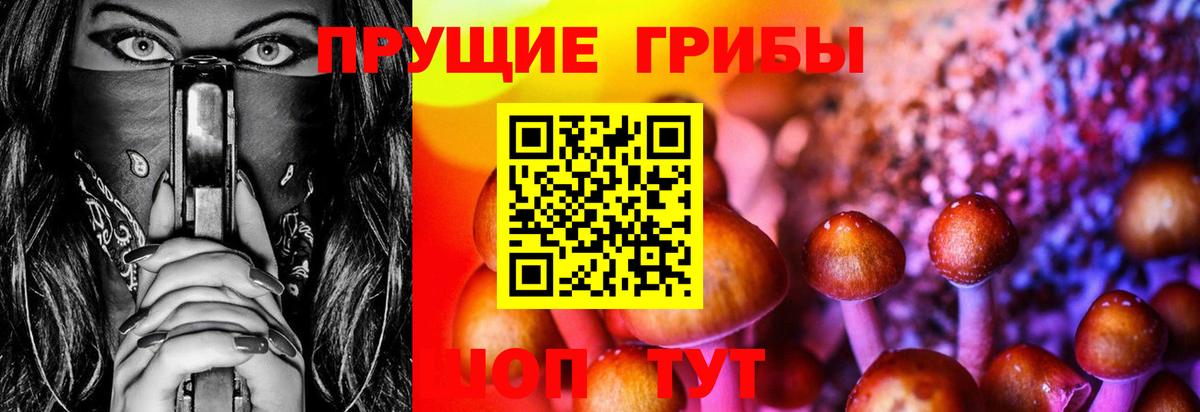Галлюциногенные грибы мицелий Белорецк